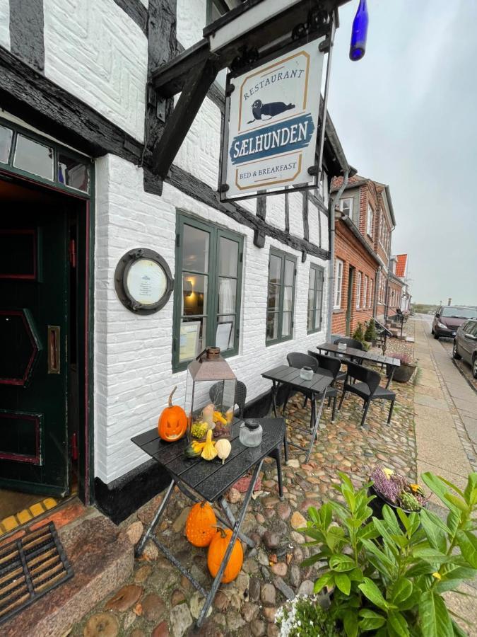 Bed and Breakfast Restaurant Saelhunden Ribe Exteriér fotografie
