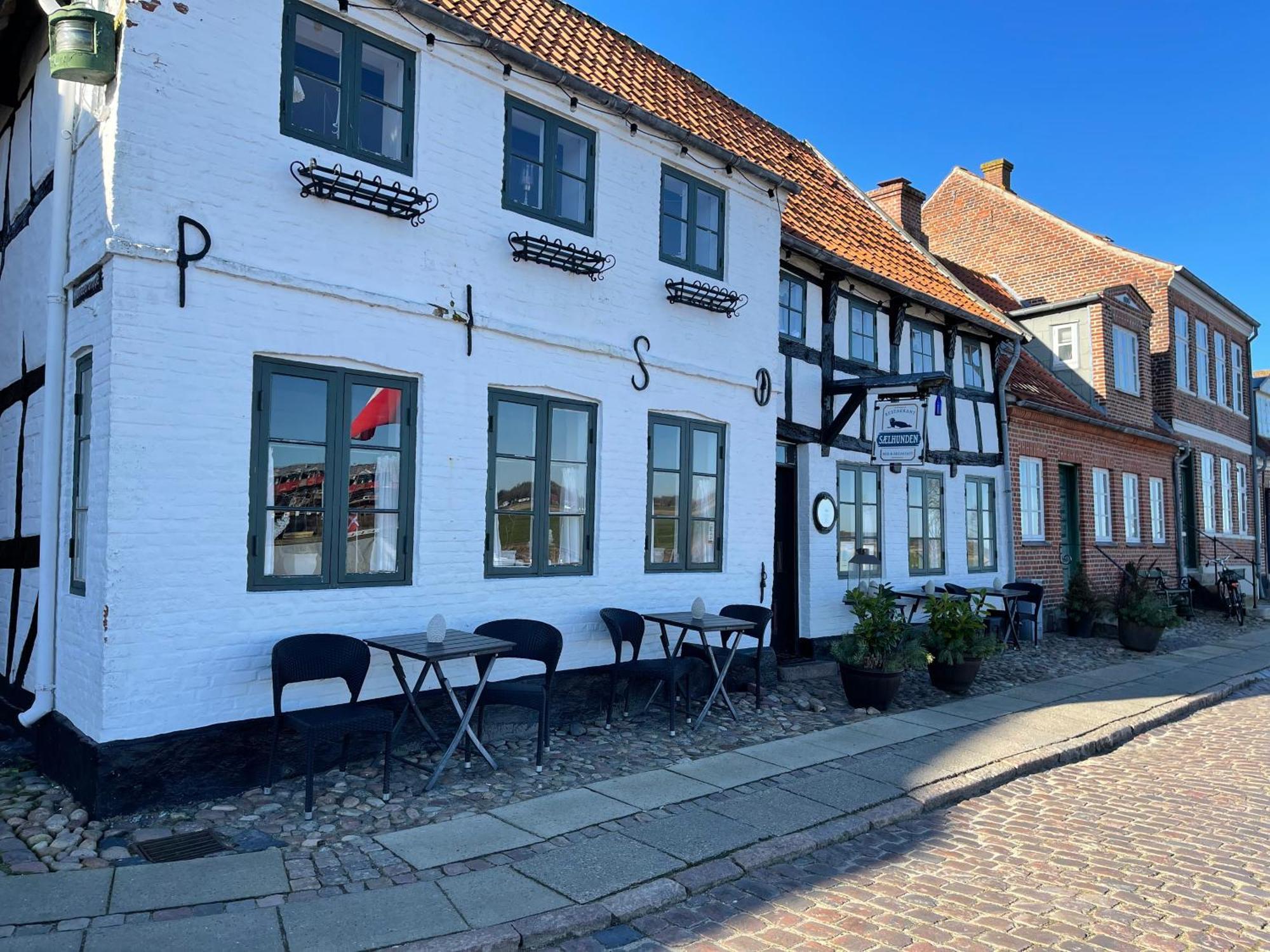 Bed and Breakfast Restaurant Saelhunden Ribe Exteriér fotografie