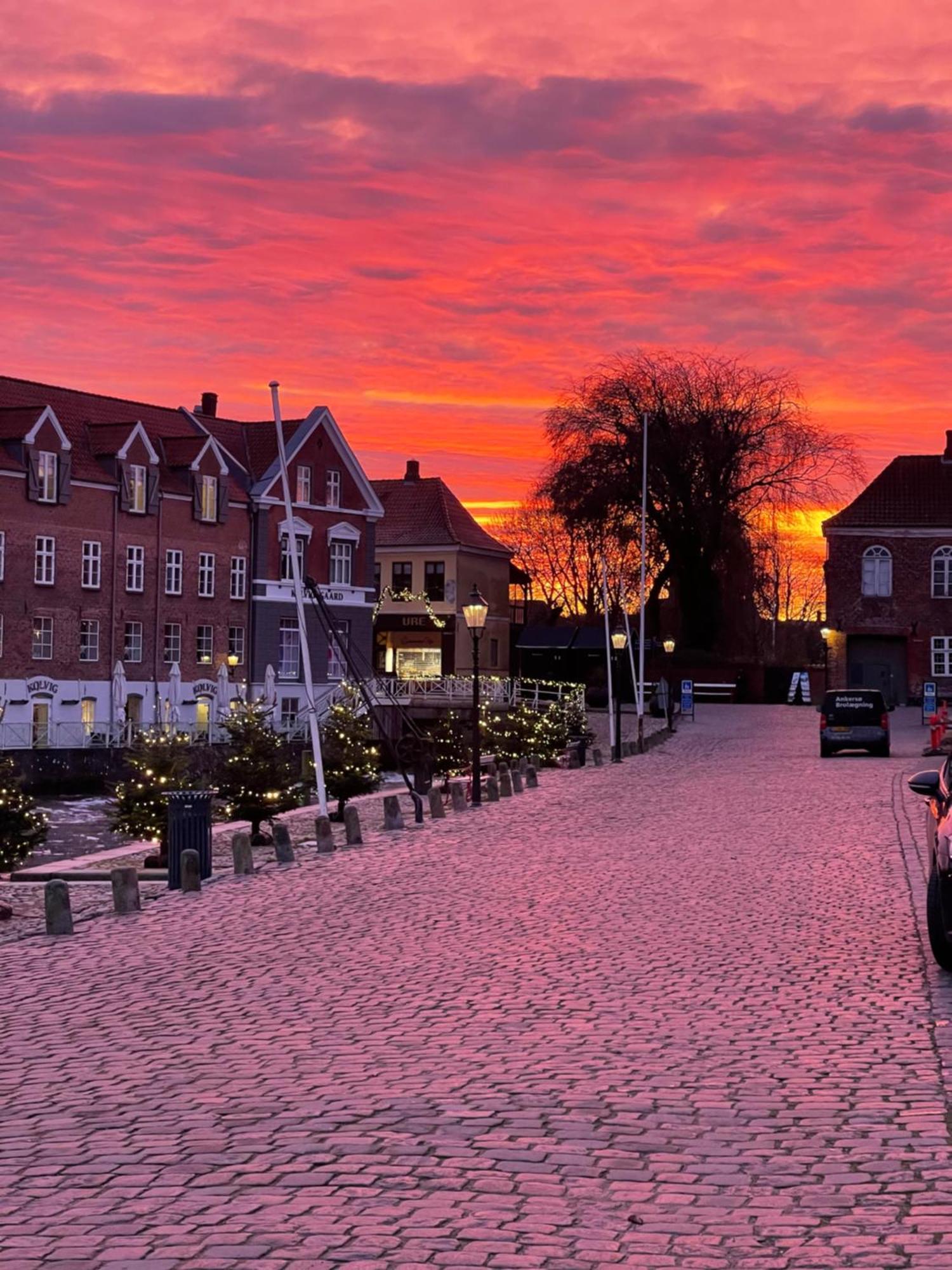 Bed and Breakfast Restaurant Saelhunden Ribe Exteriér fotografie